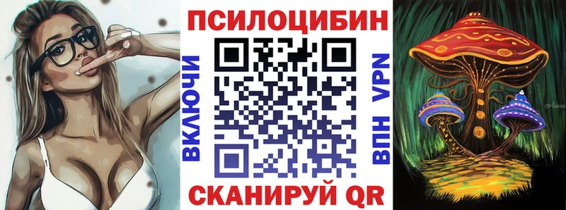 дарнет шоп  Фёдоровский  Псилоцибиновые грибы прущие грибы 